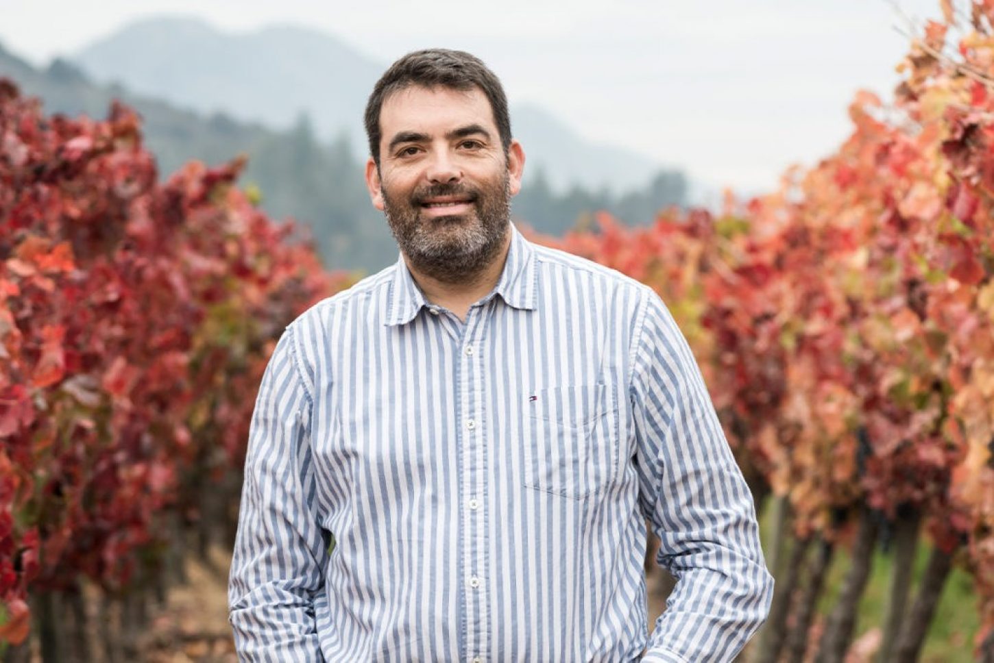 Marcio Ramírez: gospod Carmenère