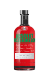 ABSOLUT WATERMELON